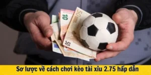 Bí Quyết Nắm Bắt Cách Chơi Kèo 2.75 Luôn Thắng Lớn