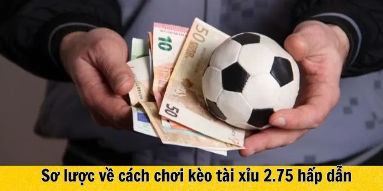 Bí Quyết Nắm Bắt Cách Chơi Kèo 2.75 Luôn Thắng Lớn