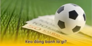 Hướng Dẫn Cách Chơi Kèo Đồng Banh Chuẩn Xác Cho Người Phân Tích