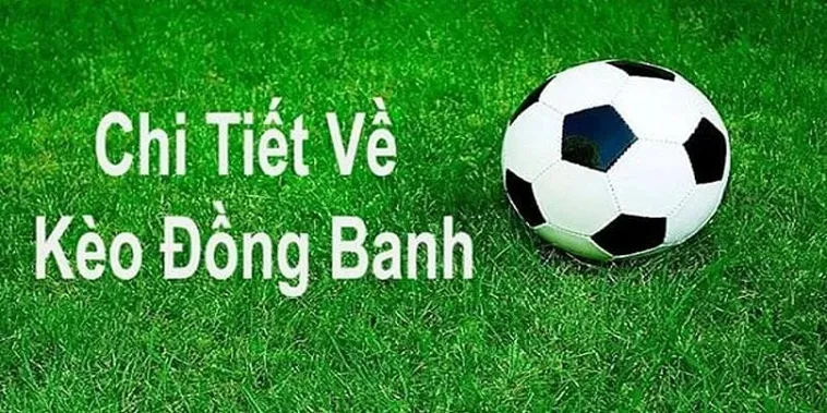 Hướng Dẫn Cách Chơi Kèo Đồng Banh Chuẩn Xác Cho Người Phân Tích