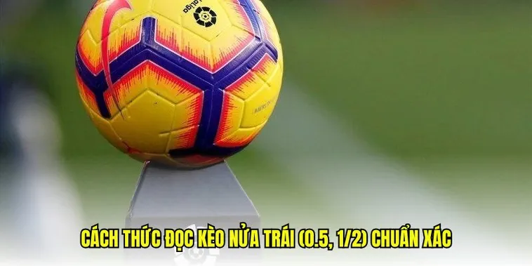 Tìm Hiểu Cách Chơi Kèo Chấp 0.5 Chuyên Nghiệp Từ Chuyên Gia