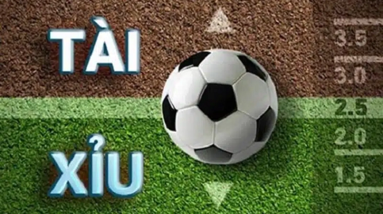 Cách Chơi Kèo 2.25 Chi Tiết Từ Cơ Bản Đến Nâng Cao