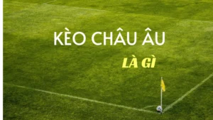 Hướng Dẫn Cách Chơi Kèo Châu Âu Hiệu Quả Từng Bước Một