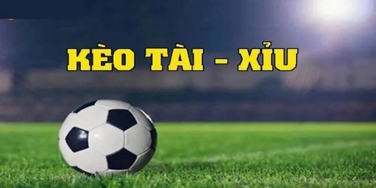 Bí Quyết Về Cách Chơi Kèo Tài Xỉu Đạt Tỷ Lệ Thắng Cao Nhất