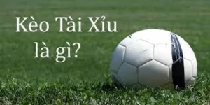 Bí Quyết Về Cách Chơi Kèo Tài Xỉu Đạt Tỷ Lệ Thắng Cao Nhất