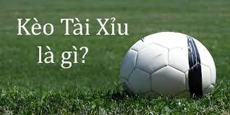 Bí Quyết Về Cách Chơi Kèo Tài Xỉu Đạt Tỷ Lệ Thắng Cao Nhất