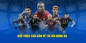Hướng Dẫn Cách Chơi Kèo Tài Xỉu Bóng Đá Hiệu Quả Nhất