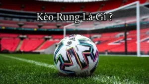 Hướng Dẫn Cách Chơi Kèo Rung Trong Bóng Đá Hiệu Quả